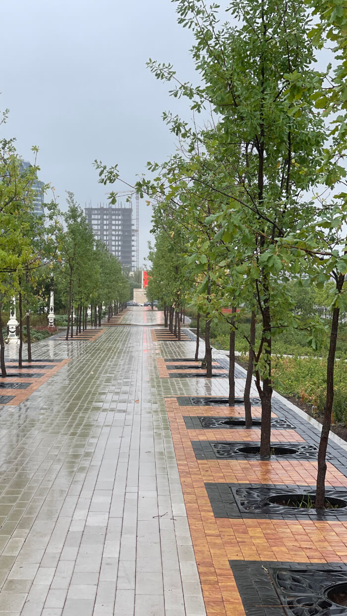 Приствольная решетка для дерева ZKING CRUST 1.2х1.2м Черная в Кандалакше фото